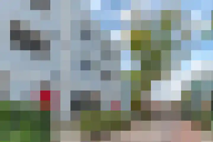 Noorderhoofdstraat 10 D Krommenie thumbnail 29