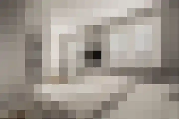 Noorderhoofdstraat 108 Krommenie thumbnail 32