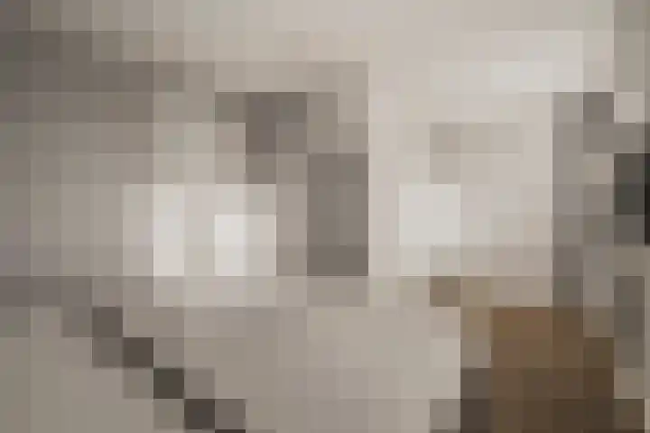Noorderhoofdstraat 108 Krommenie thumbnail 34