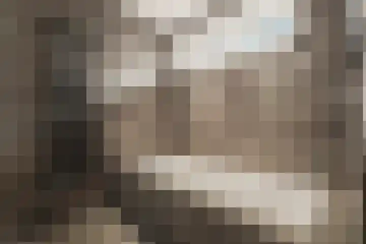 Noorderhoofdstraat 108 Krommenie thumbnail 45