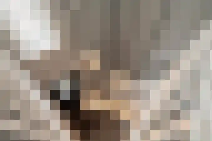 Noorderhoofdstraat 108 Krommenie thumbnail 54