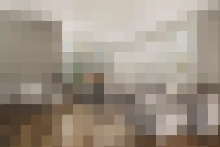Noorderhoofdstraat 108 Krommenie thumbnail 6