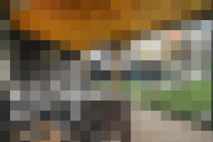 Noorderhoofdstraat 108 Krommenie thumbnail 64