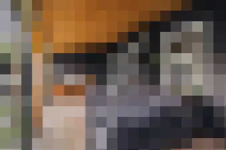 Noorderhoofdstraat 108 Krommenie thumbnail 65