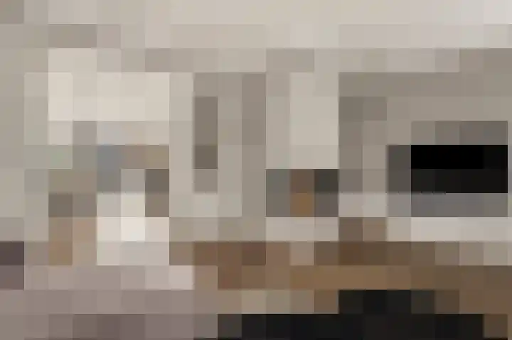 Noorderhoofdstraat 108 Krommenie thumbnail 7