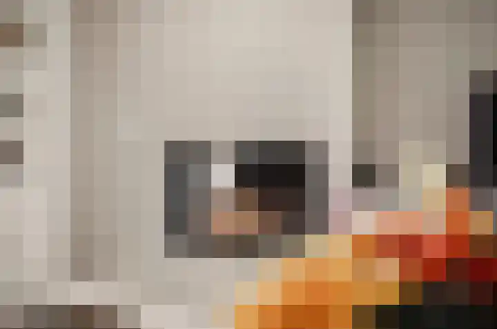 Noorderhoofdstraat 108 Krommenie thumbnail 8