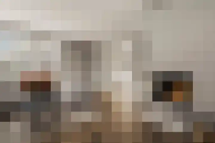 Noorderhoofdstraat 108 Krommenie thumbnail 9