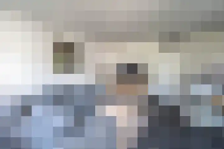 Noorderhoofdstraat 12 E Krommenie thumbnail 10
