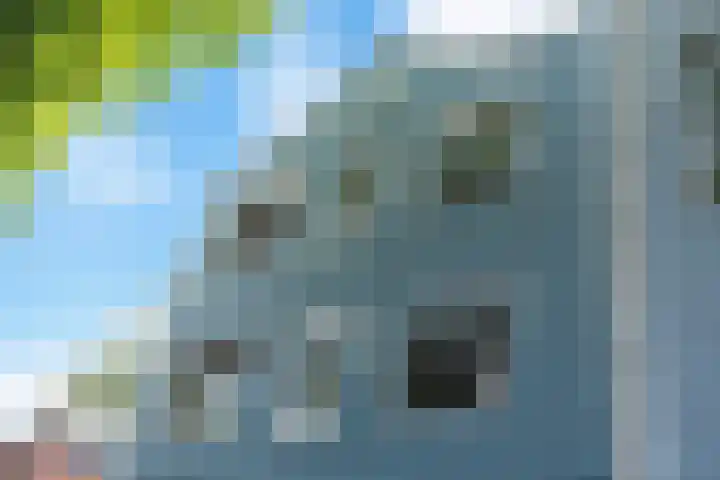 Noorderhoofdstraat 12 F Krommenie thumbnail 36