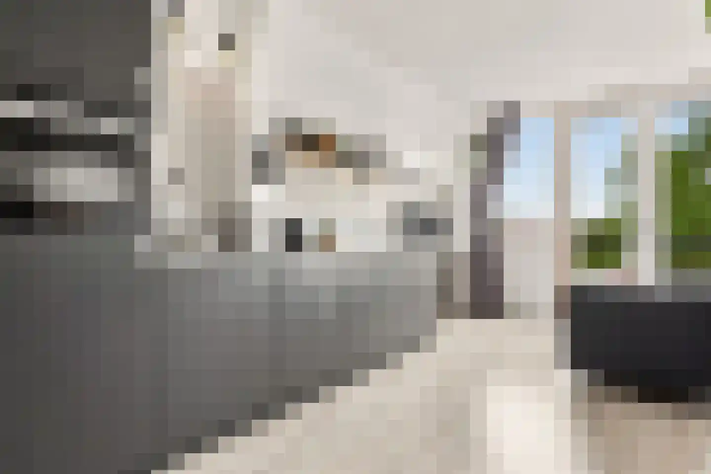 Noorderhoofdstraat 183 Krommenie thumbnail 11