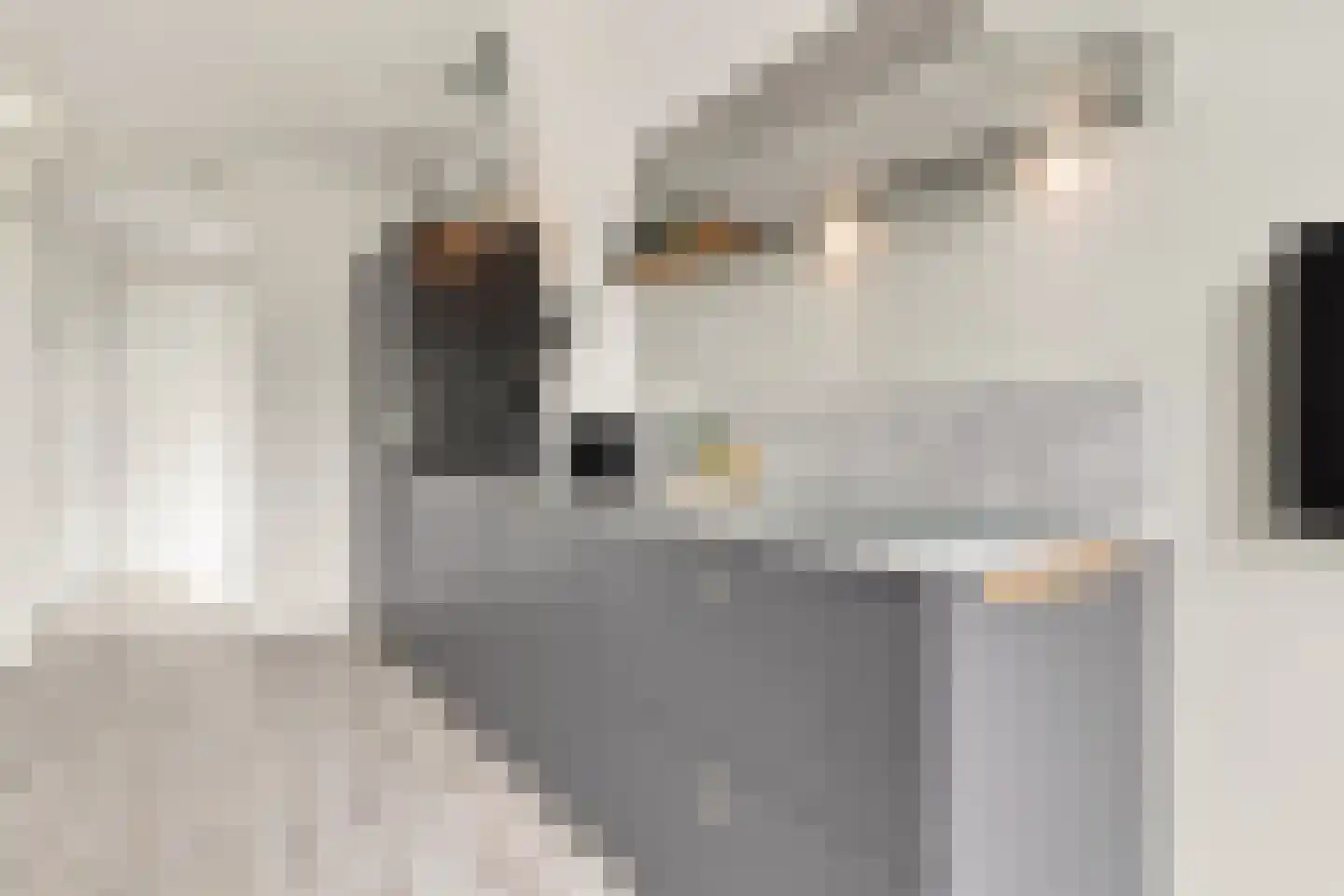 Noorderhoofdstraat 183 Krommenie thumbnail 12