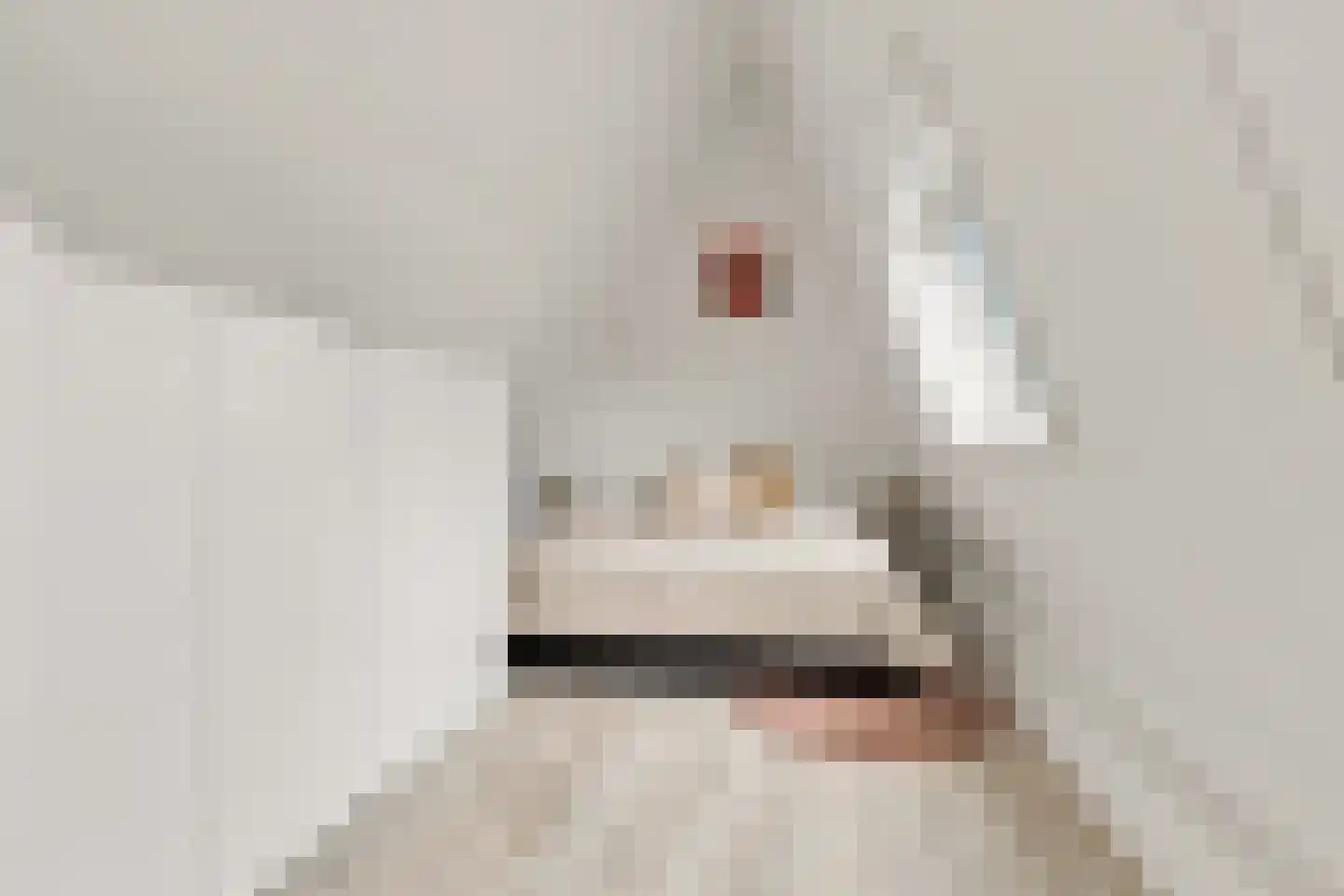 Noorderhoofdstraat 183 Krommenie thumbnail 33