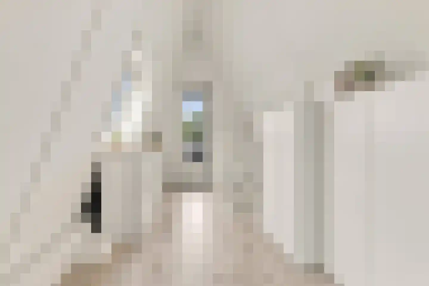 Noorderhoofdstraat 183 Krommenie thumbnail 36