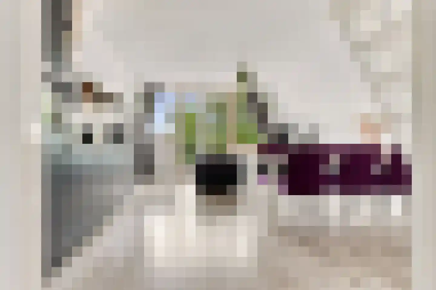 Noorderhoofdstraat 183 Krommenie thumbnail 4