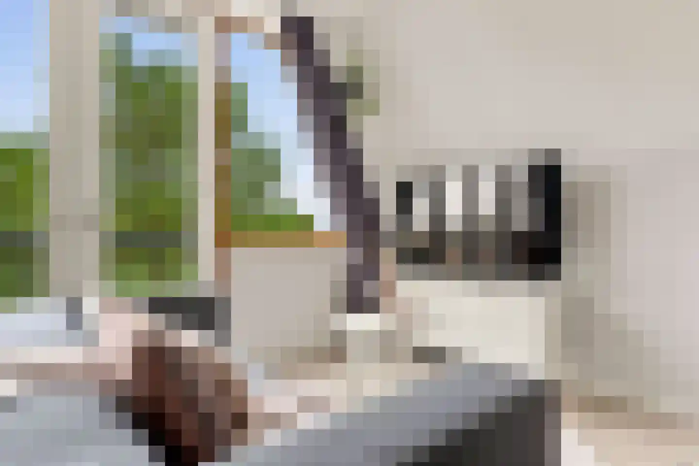 Noorderhoofdstraat 183 Krommenie thumbnail 5