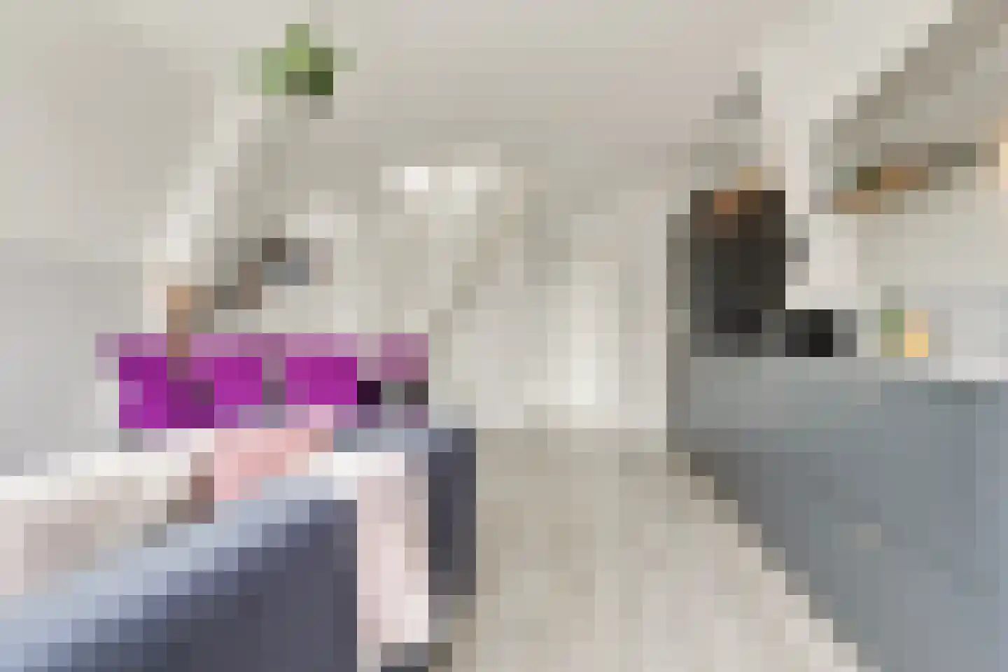 Noorderhoofdstraat 183 Krommenie thumbnail 8