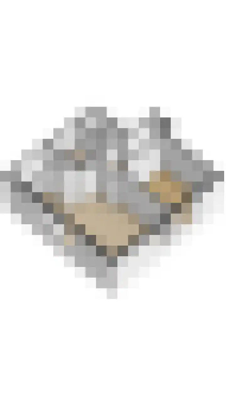 Noorderhoofdstraat 3 C Krommenie thumbnail 21