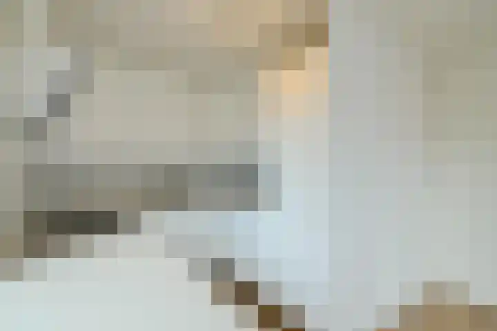 Noorderhoofdstraat 3 C Krommenie thumbnail 6