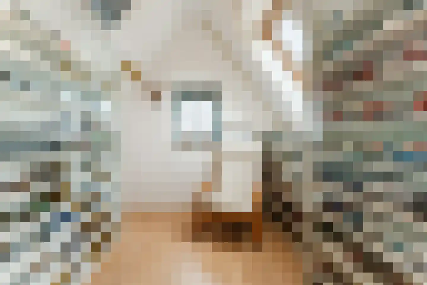 Noorderhoofdstraat 32 d Krommenie thumbnail 32