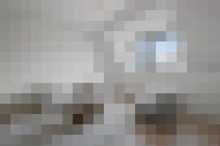 Noorderhoofdstraat 32 d Krommenie thumbnail 4
