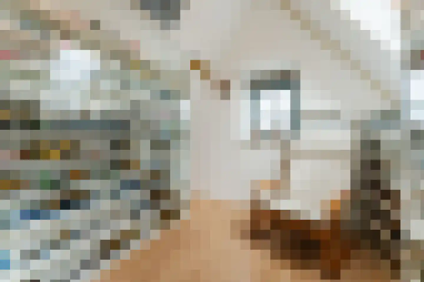 Noorderhoofdstraat 32 f Krommenie thumbnail 33
