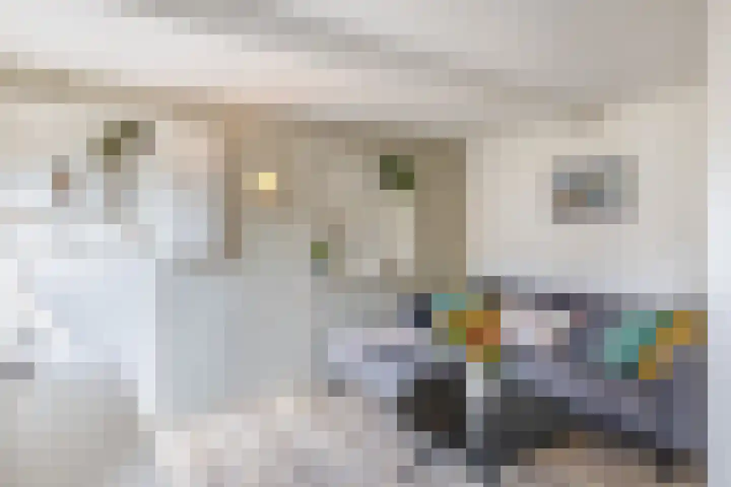 Noorderhoofdstraat 48 AC Krommenie thumbnail 11