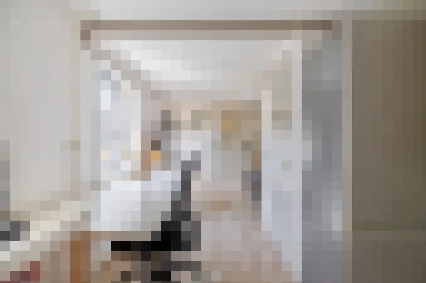 Noorderhoofdstraat 48 AC Krommenie thumbnail 13