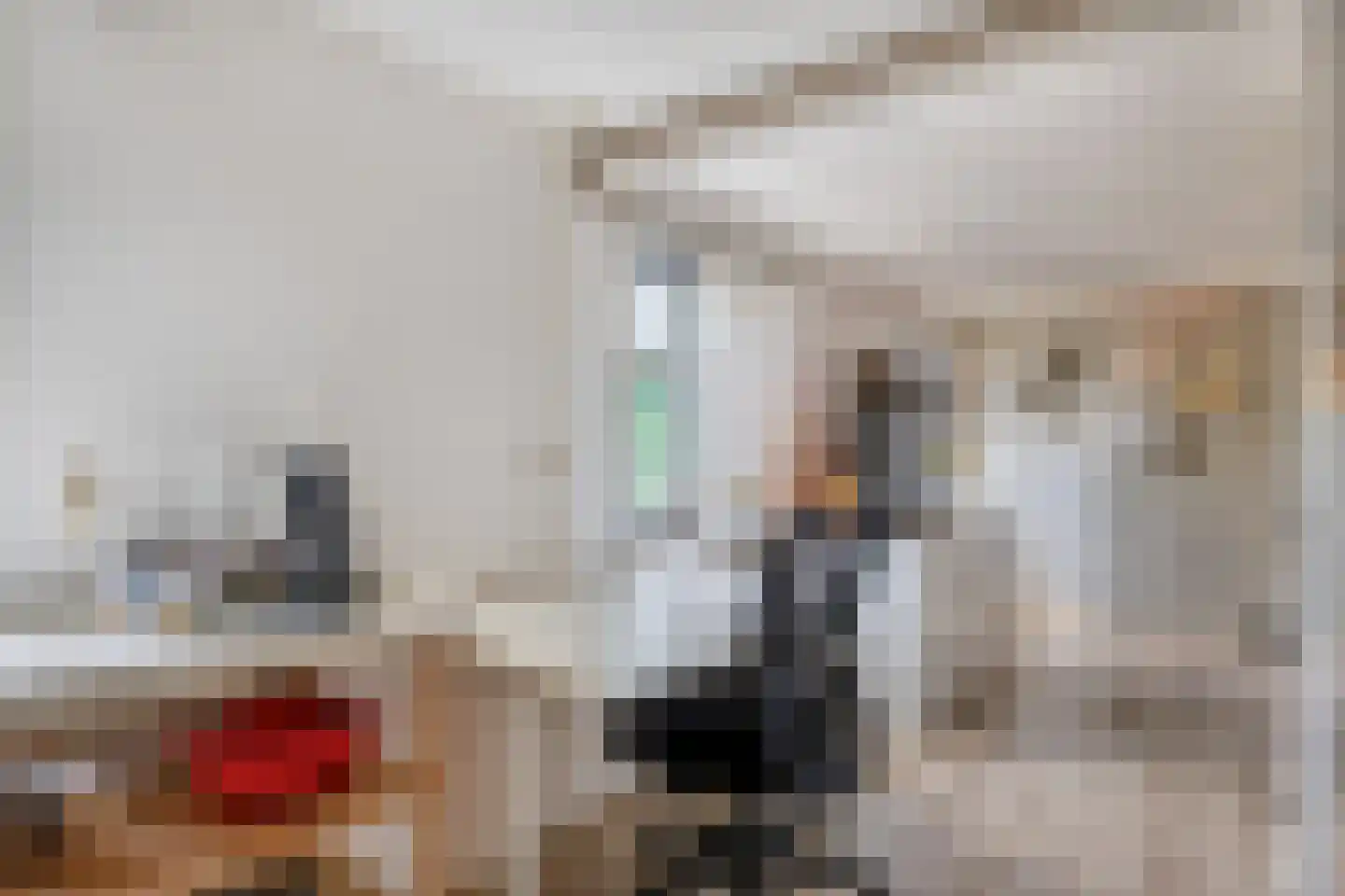 Noorderhoofdstraat 48 AC Krommenie thumbnail 14