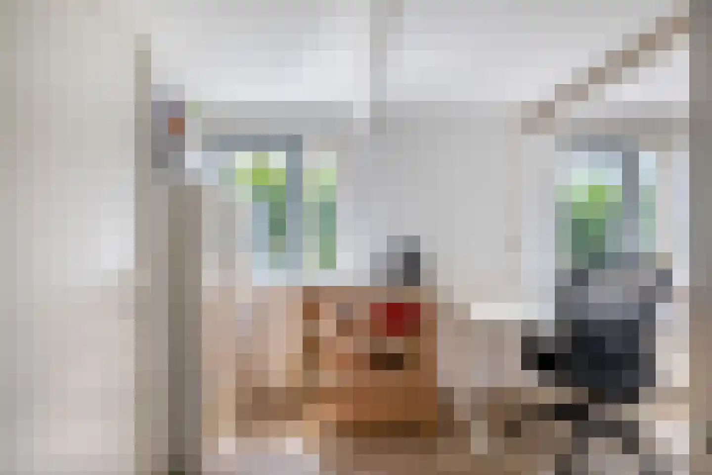 Noorderhoofdstraat 48 AC Krommenie thumbnail 15