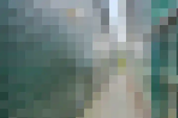 Noorderhoofdstraat 48 B Krommenie thumbnail 24