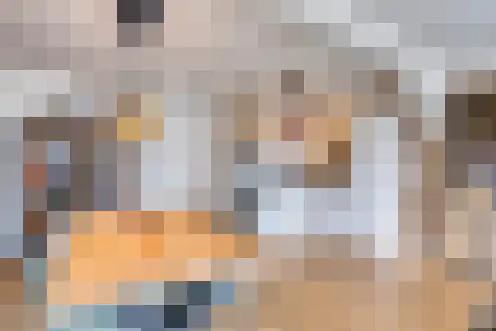 Noorderhoofdstraat 48 B Krommenie thumbnail 4