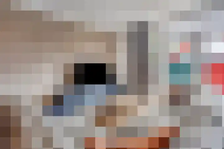Noorderhoofdstraat 48 B Krommenie thumbnail 7