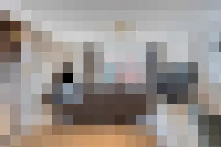 Noorderhoofdstraat 48 B Krommenie thumbnail 8