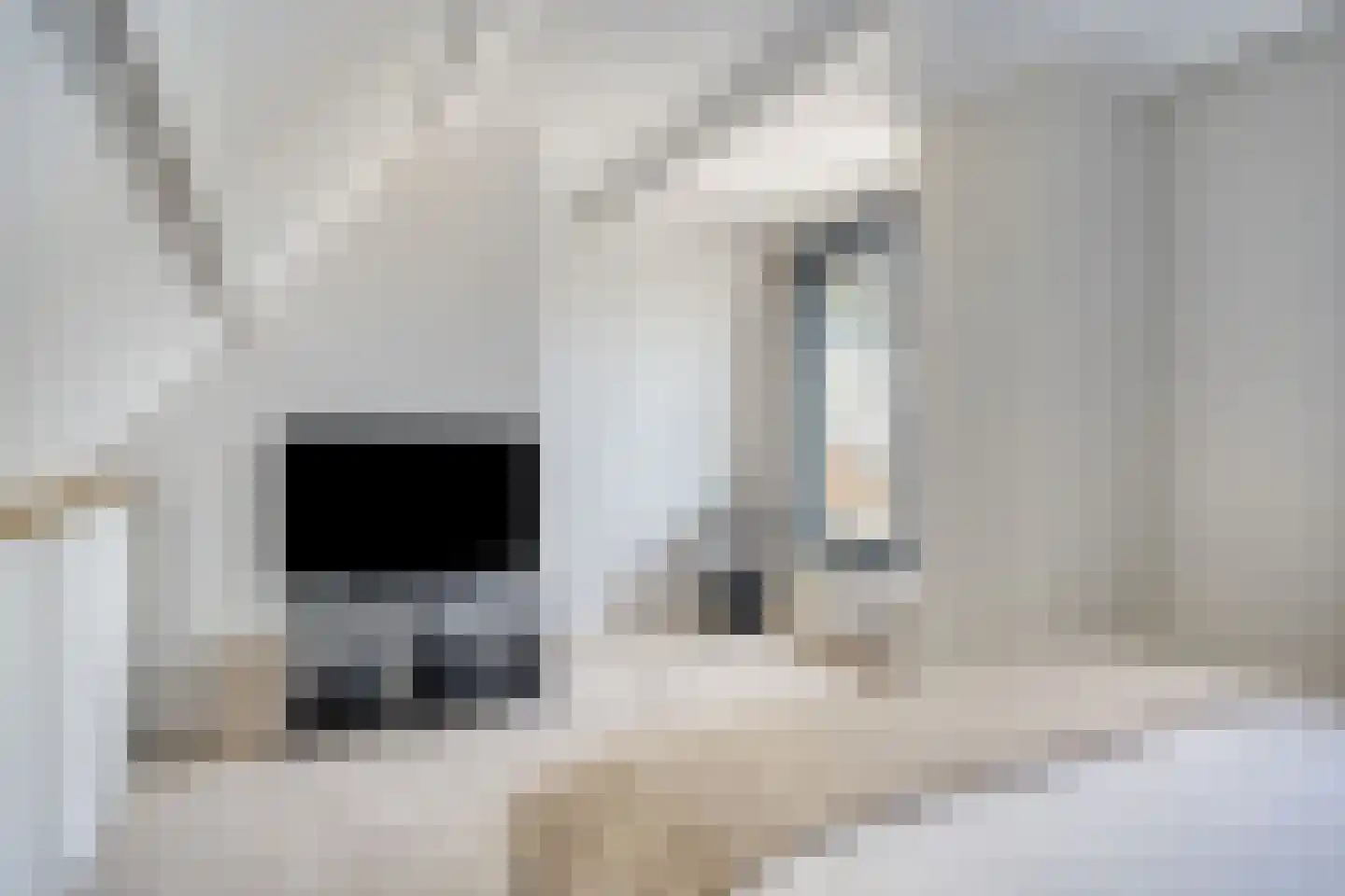 Noorderhoofdstraat 62 Krommenie thumbnail 23