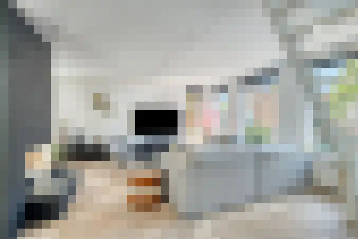 Noorderhoofdstraat 62 Krommenie thumbnail 7