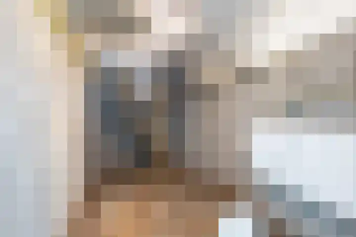 Noorderhoofdstraat 67 a Krommenie thumbnail 17
