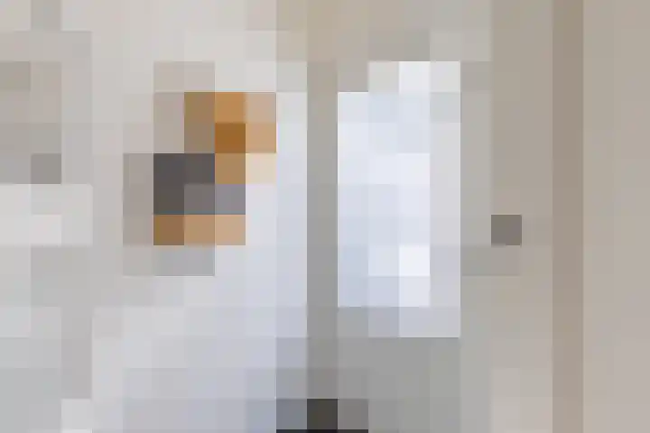 Noorderhoofdstraat 67 a Krommenie thumbnail 21