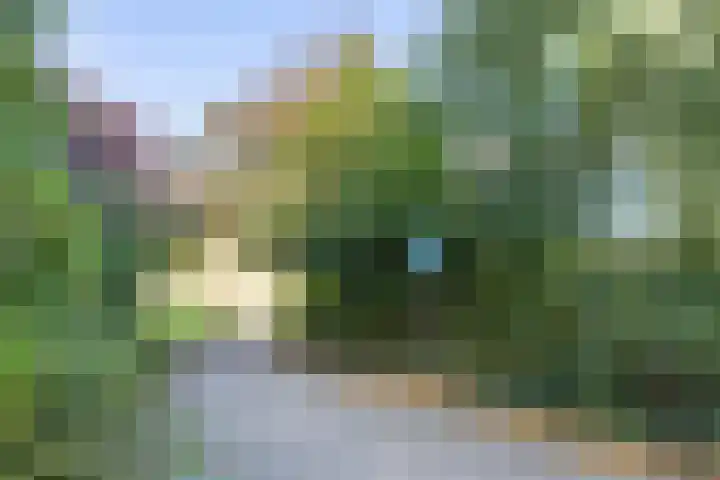Noorderhoofdstraat 67 a Krommenie thumbnail 29