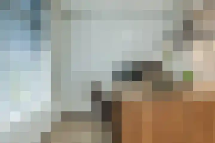 Noorderhoofdstraat 67 b Krommenie thumbnail 11