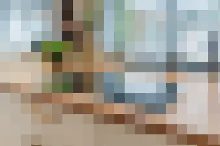 Noorderhoofdstraat 67 b Krommenie thumbnail 18