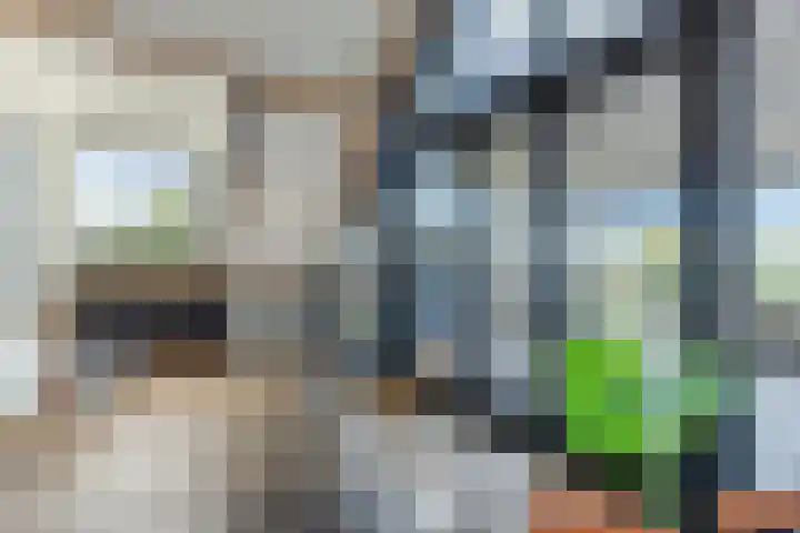 Noorderhoofdstraat 67 b Krommenie thumbnail 31