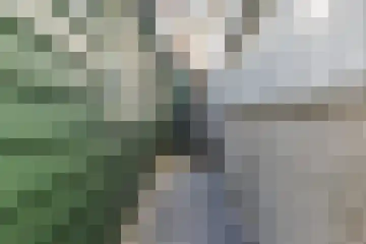 Noorderhoofdstraat 67 b Krommenie thumbnail 48
