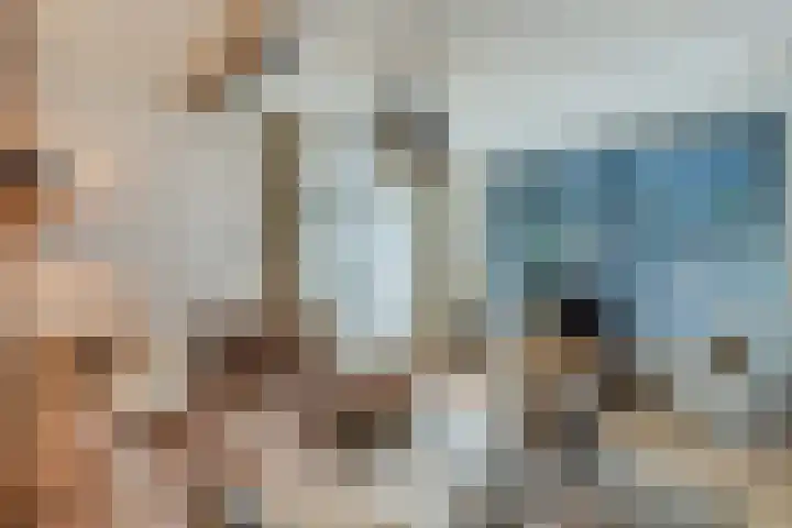 Noorderhoofdstraat 67 b Krommenie thumbnail 6