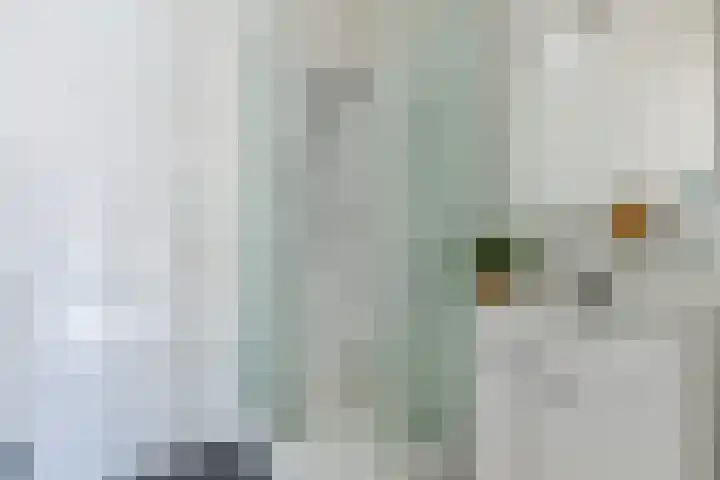 Noorderhoofdstraat 67 e Krommenie thumbnail 13