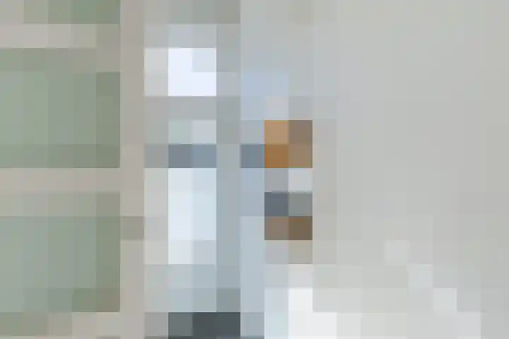 Noorderhoofdstraat 67 e Krommenie thumbnail 15