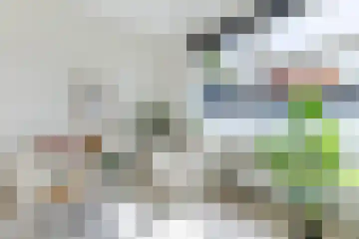 Noorderhoofdstraat 67 e Krommenie thumbnail 4