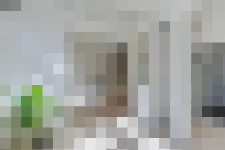 Noorderhoofdstraat 67 e Krommenie thumbnail 6
