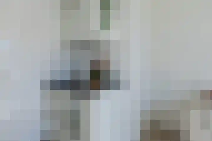 Noorderhoofdstraat 67 e Krommenie thumbnail 7