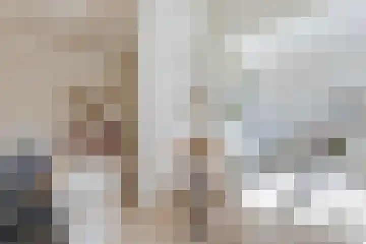 Noorderhoofdstraat 67 e Krommenie thumbnail 8