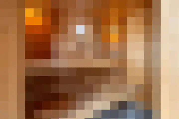 Noorderhoofdstraat 79 Krommenie thumbnail 24